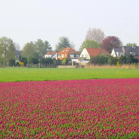Bed & Breakfast Bij Janzen Couette-café Zwaanshoek