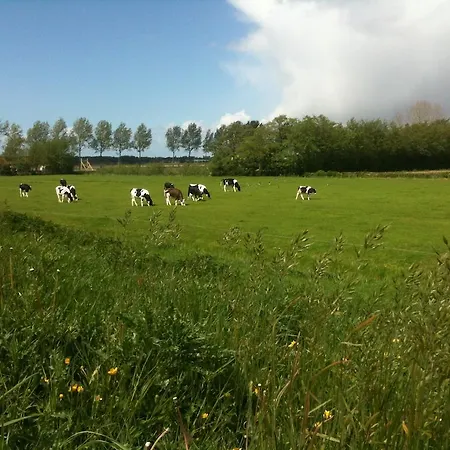 Bed & Breakfast Bij Janzen לינה וארוחת בוקר *