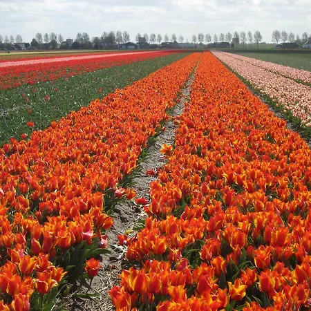 Bed & Breakfast Bij Janzen Zwaanshoek