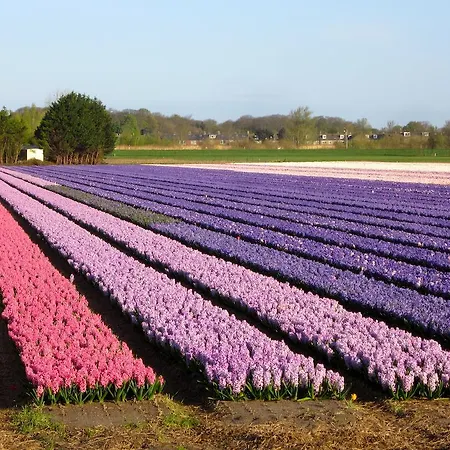 לינה וארוחת בוקר Bed & Breakfast Bij Janzen