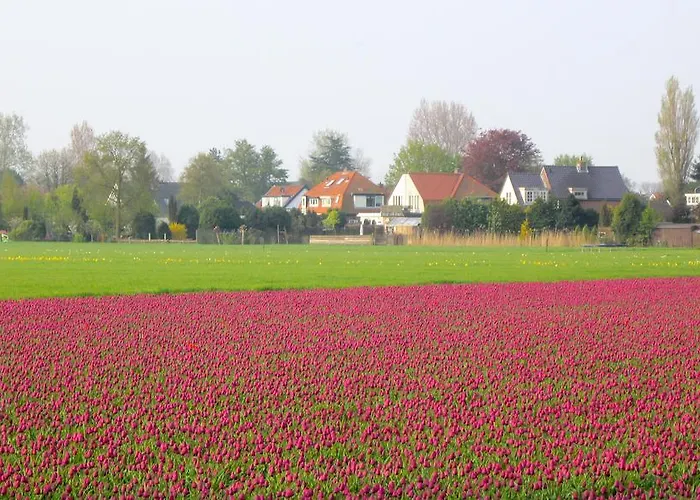 Bed & Breakfast Bij Janzen לינה וארוחת בוקר Zwaanshoek