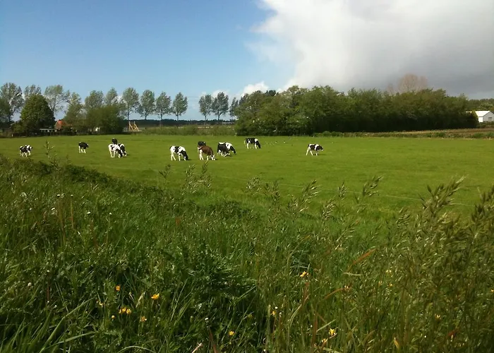 Bed & Breakfast Bij Janzen לינה וארוחת בוקר *