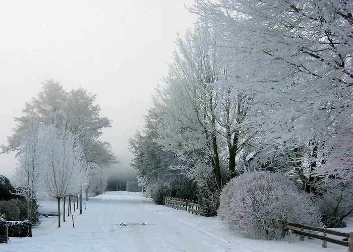 Bed & Breakfast Bij Janzen Zwaanshoek