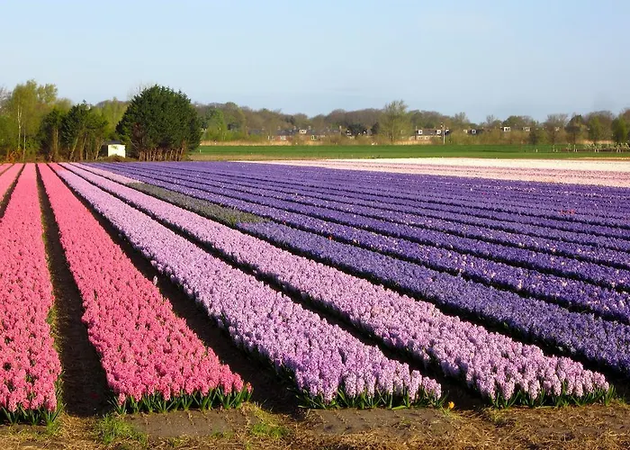 לינה וארוחת בוקר Bed & Breakfast Bij Janzen