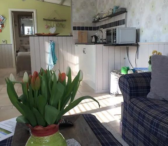 לינה וארוחת בוקר Bed & Breakfast Bij Janzen Zwaanshoek